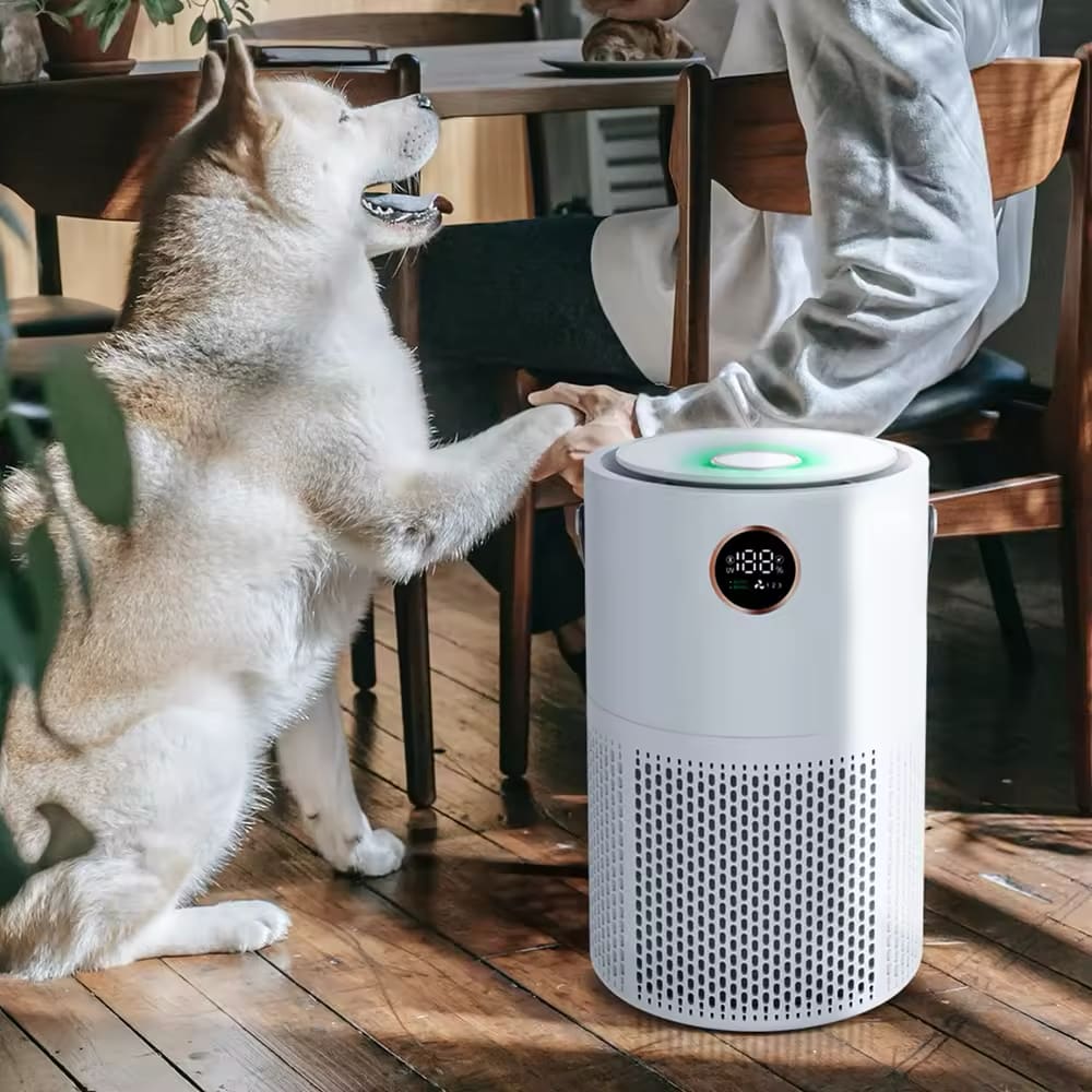 Brezžični čistilec in ionizator zraka